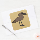 Sticker Carré Hamerkop (Enveloppe)