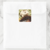 Sticker Carré Hammyville - Cute Hamster (Sac)