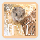 Sticker Carré Hammyville - Hamster Merci (Devant)