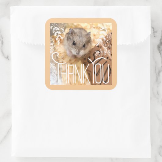 Sticker Carré Hammyville - Hamster Merci (Sac)