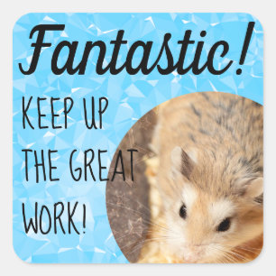 Sticker Carré HammyVille - Joli Hamster Fantastique Grand Travai