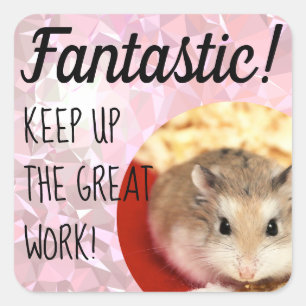 Sticker Carré HammyVille - Joli Hamster Fantastique Grand Travai
