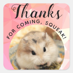 Sticker Carré HammyVille - Joli Hamster Merci pour la Squeak à v
