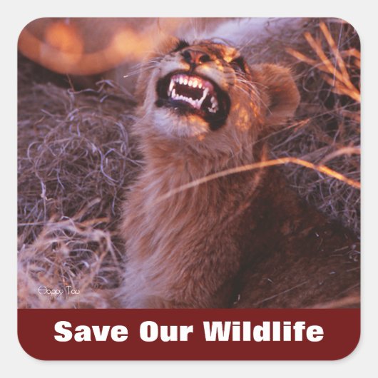 Sticker Carré Happy Tau Sauvez Notre Faune (Devant)