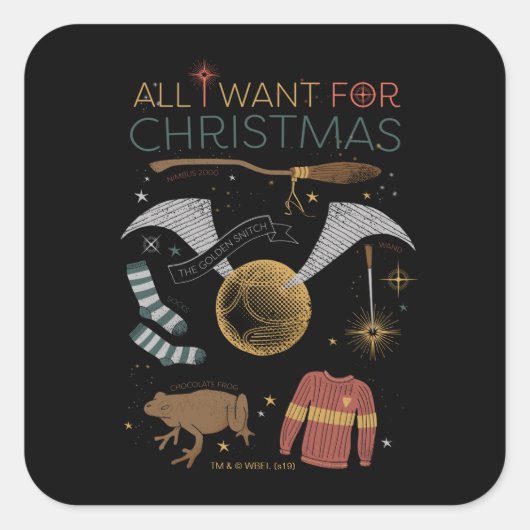Sticker Carré HARRY POTTER™ Tout ce que je veux pour Noël (Devant)