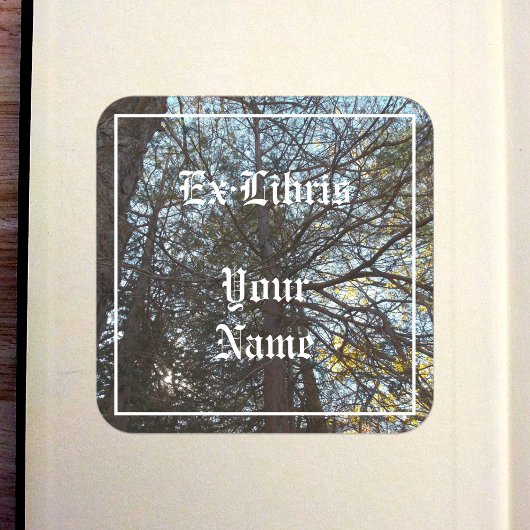 Sticker Carré Haut à travers la plaque d'immatriculation des bra