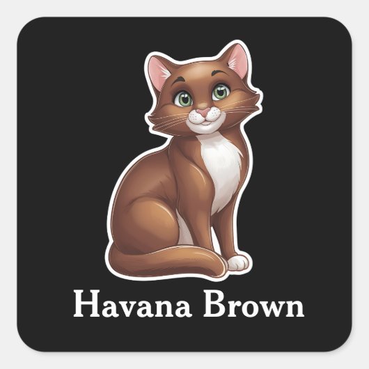 Sticker Carré Havane Brown (Devant)