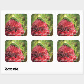 Sticker Carré Hawaii Anole Lizard Rouge Tropical Fleur Akaka Fal (Feuille)