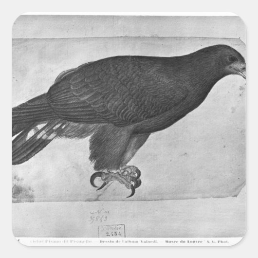 Sticker Carré Hawk, de l'album The Vallardi (Devant)