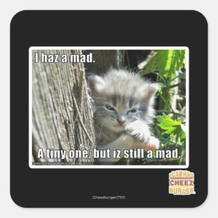 Sticker Carré Haz I un fou