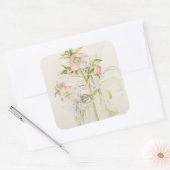 Sticker Carré Hellebores (Enveloppe)