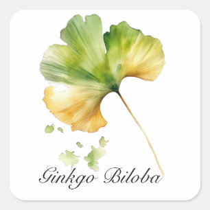 Sticker Carré Herbal Life : Ginkgo Biloba feuille personnalisabl