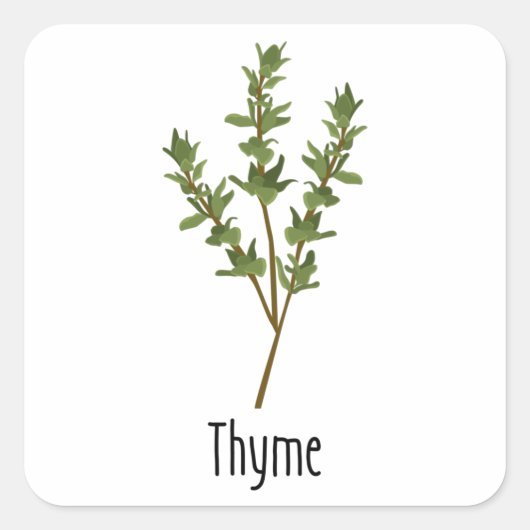 Sticker Carré Herbe d'épices de thym (Devant)