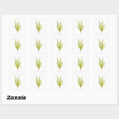 Sticker Carré Herbes de thym Herbes botaniques (Feuille)