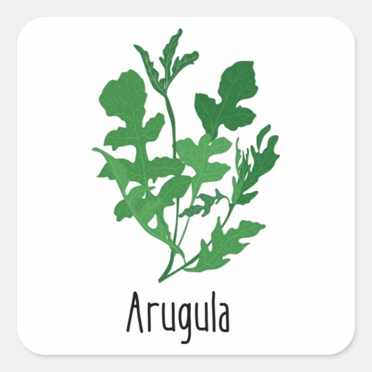 Sticker Carré Herbes d'épices Arugula (Devant)