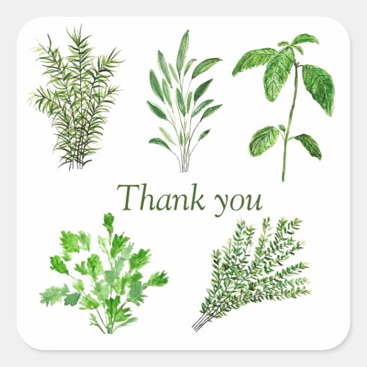 Sticker Carré Herbes Rosemary Sage Thyme Mint Parsley Merci (Devant)