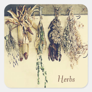Sticker Carré herbes séchées rustique pays encore vie