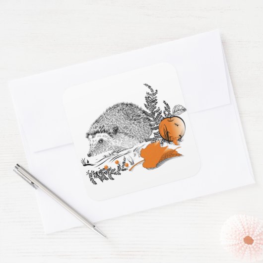 Sticker Carré Hérisson (Enveloppe)