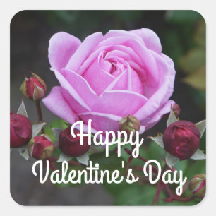 Sticker Carré Heureuse Sainte-Valentin Rose du château de Bishop