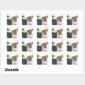 Sticker Carré HH Duchesse de Cornwall (Feuille)