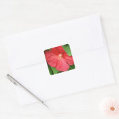 Sticker Carré Hibiscus Flower Bright Magenta (Enveloppe)