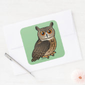 Sticker Carré Hiboux des aigles d'Eurasie (Enveloppe)