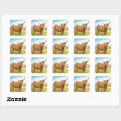 Sticker Carré Highland Cow (Feuille)