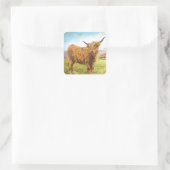 Sticker Carré Highland Cow (Sac)