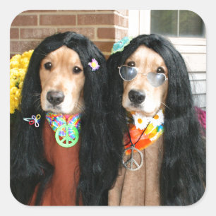 Sticker Carré Hippie d'Halloween Retriever d'or