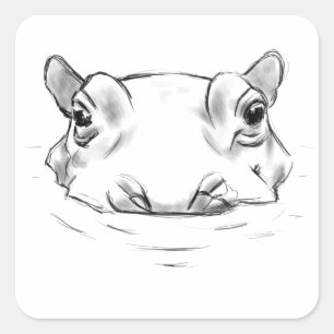Sticker Carré Hippo drawing