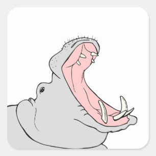 Sticker Carré Hippopotame affamé affamé