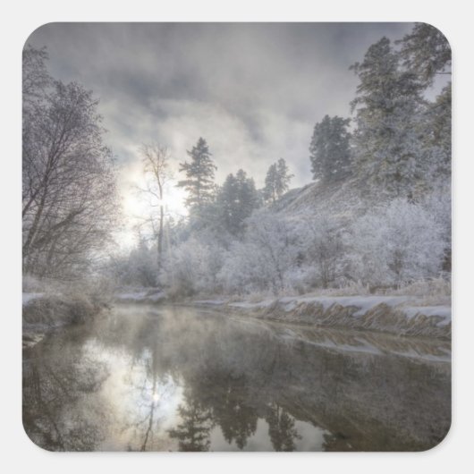 Sticker Carré Hoarfrost le long d'une pente à l'île Kelly (Devant)