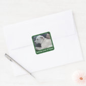 Sticker Carré Holiday Love and Peace Cute Dog Photo with Dad (Enveloppe)