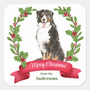 Sticker Carré Holly Banner Bernese Mountain Dog Carré de Noël
