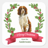 Sticker Carré Holly Banner Springer Spaniel Chien Noël (Devant)