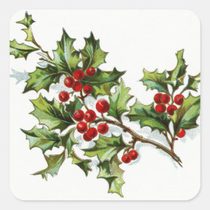 Sticker Carré HollyBerries20150802