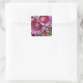 Sticker Carré Hollyhock rose beauté (Sac)