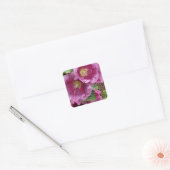 Sticker Carré Hollyhock rose beauté (Enveloppe)