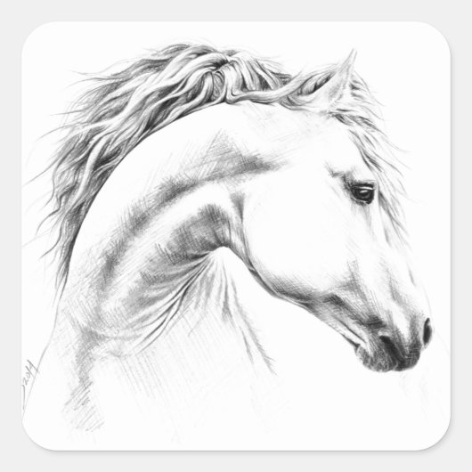 Sticker Carré Horse portrait drawing equestrian art (Devant)
