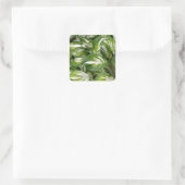 Sticker Carré Hosta feuille rayé vert et blanc (Sac)
