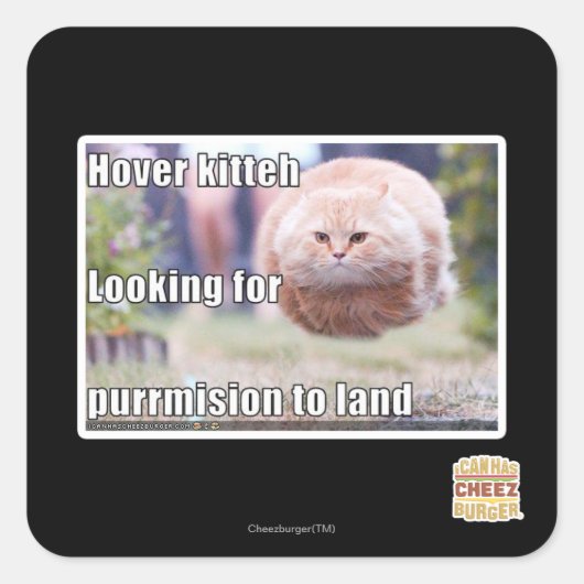 Sticker Carré Hover kitteh (Devant)