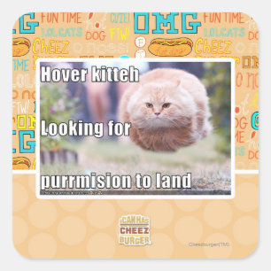 Sticker Carré Hover kitteh
