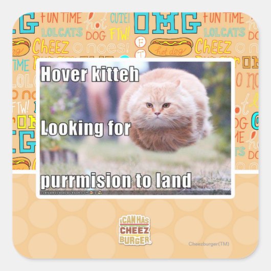 Sticker Carré Hover kitteh (Devant)