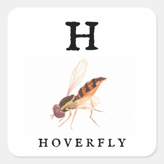 Sticker Carré Hoverfly (Devant)