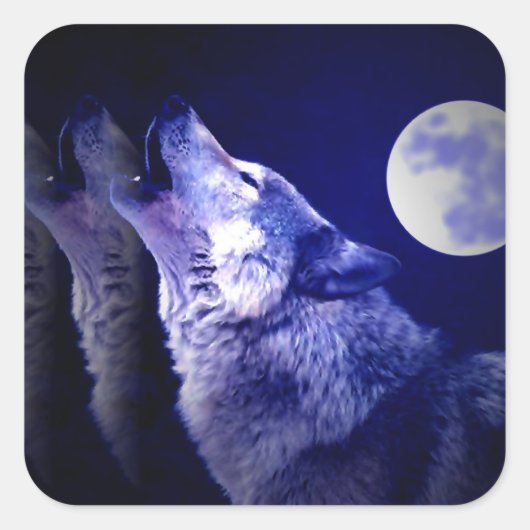 Sticker Carré Howling Wolf (Devant)
