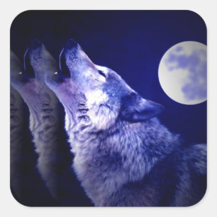 Sticker Carré Howling Wolf