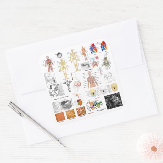 Sticker Carré Human Anatomy Charts (Enveloppe)