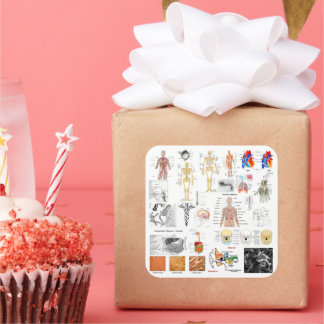 Sticker Carré Human Anatomy Charts