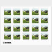 Sticker Carré Humour de vache (Feuille)