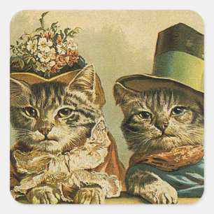 Sticker Carré Humour Vintage, Chat marié de la mariée victorienn